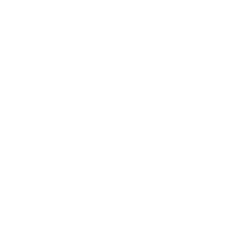 Logo fundacji B.L.U.