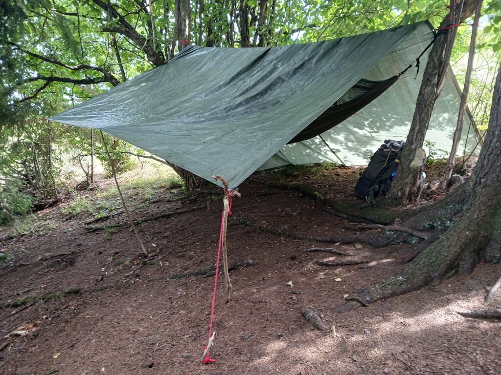 bushcraft - nocowanie w lesie, hamak i tarp
