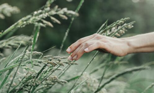 Joga na trawie – jak połączyć uważność z ruchem i naturą